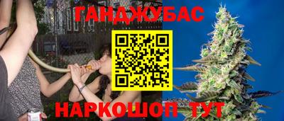 прущие грибы Пенза