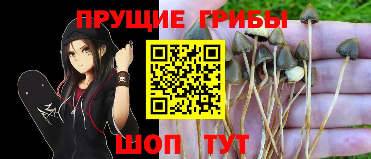 Сланцы  Галлюциногенные грибы ЛСД  Псилоцибиновые грибы прущие грибы  Вход с VPN 